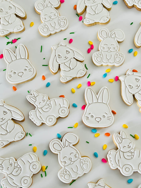 Easter Paint your own cookie!