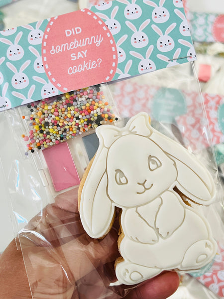 Easter Paint your own cookie!